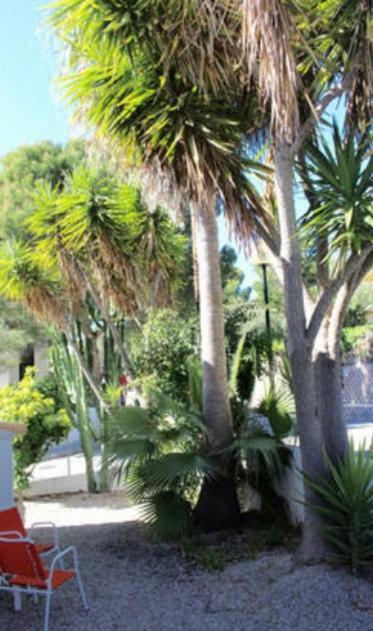 Sea House In San Telm, Mallorca * Sant Elm